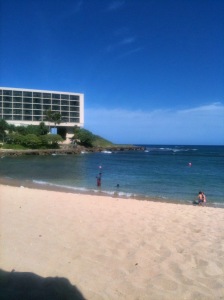 royal-hawaiian-and-turtle-bay-2091