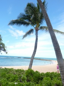 royal-hawaiian-and-turtle-bay-213