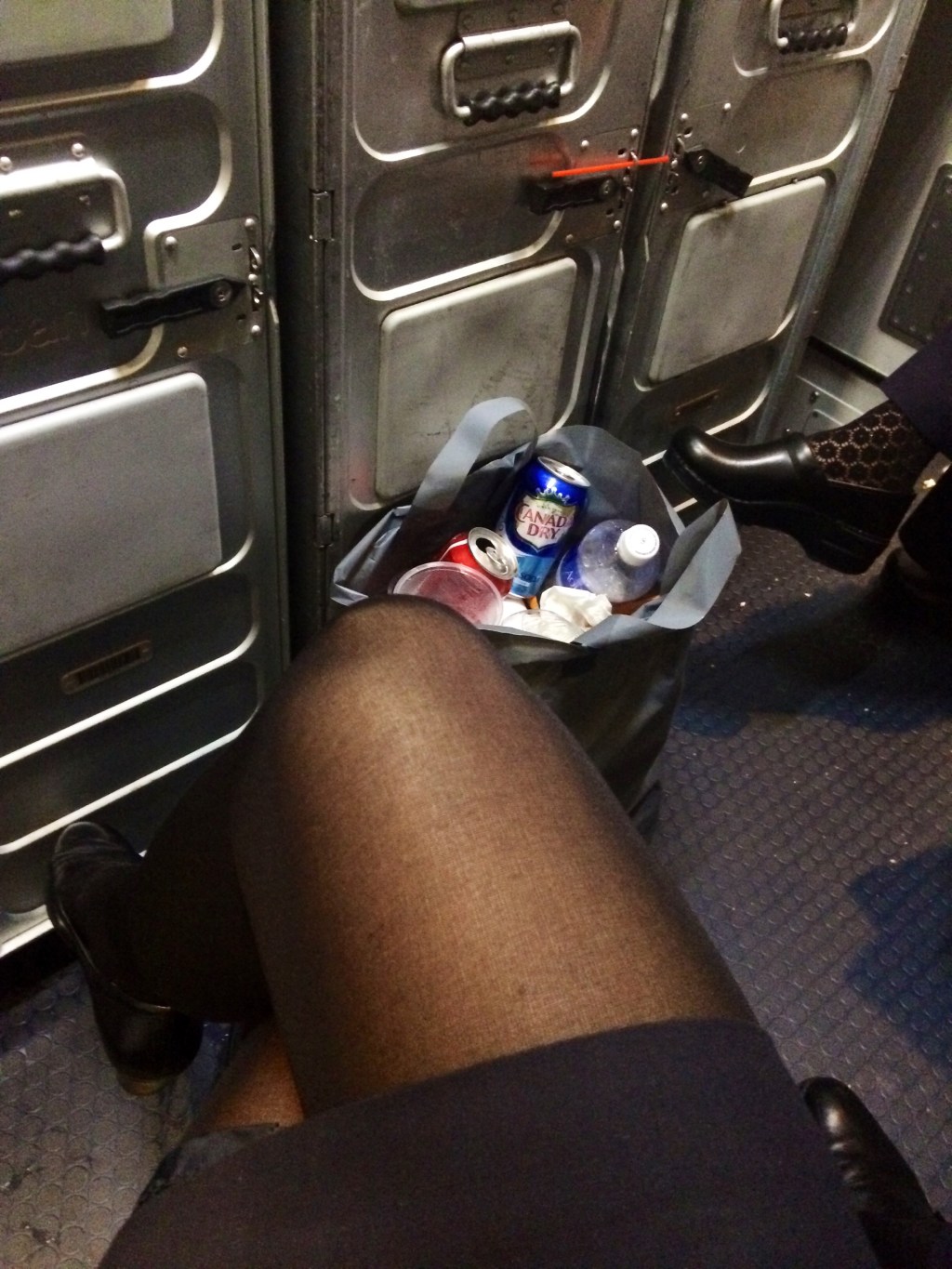 Flight attendants are not “totally” having sex on planes